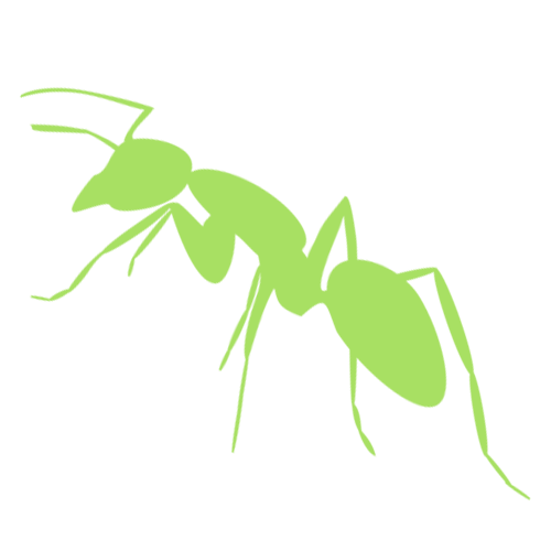 Wasp