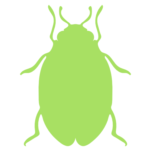 Wasp