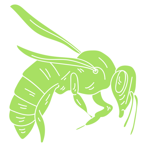 Wasp